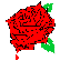 rosa perde colore.gif